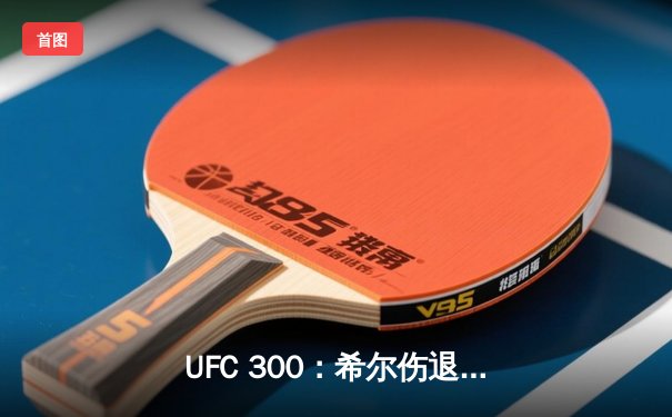 UFC 300：希尔伤退，普罗哈兹卡与佩雷拉争夺轻重量级临时冠军