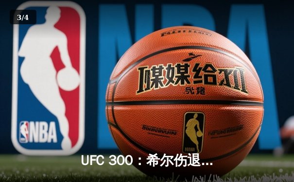UFC 300：希尔伤退，普罗哈兹卡与佩雷拉争夺轻重量级临时冠军 - 3