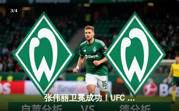 张伟丽卫冕成功！UFC 300草量级巅峰对决，分歧判定险胜闫晓楠 - 3